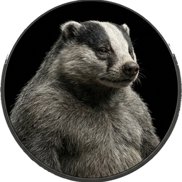 Badger